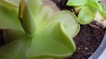 DSC00100.JPG