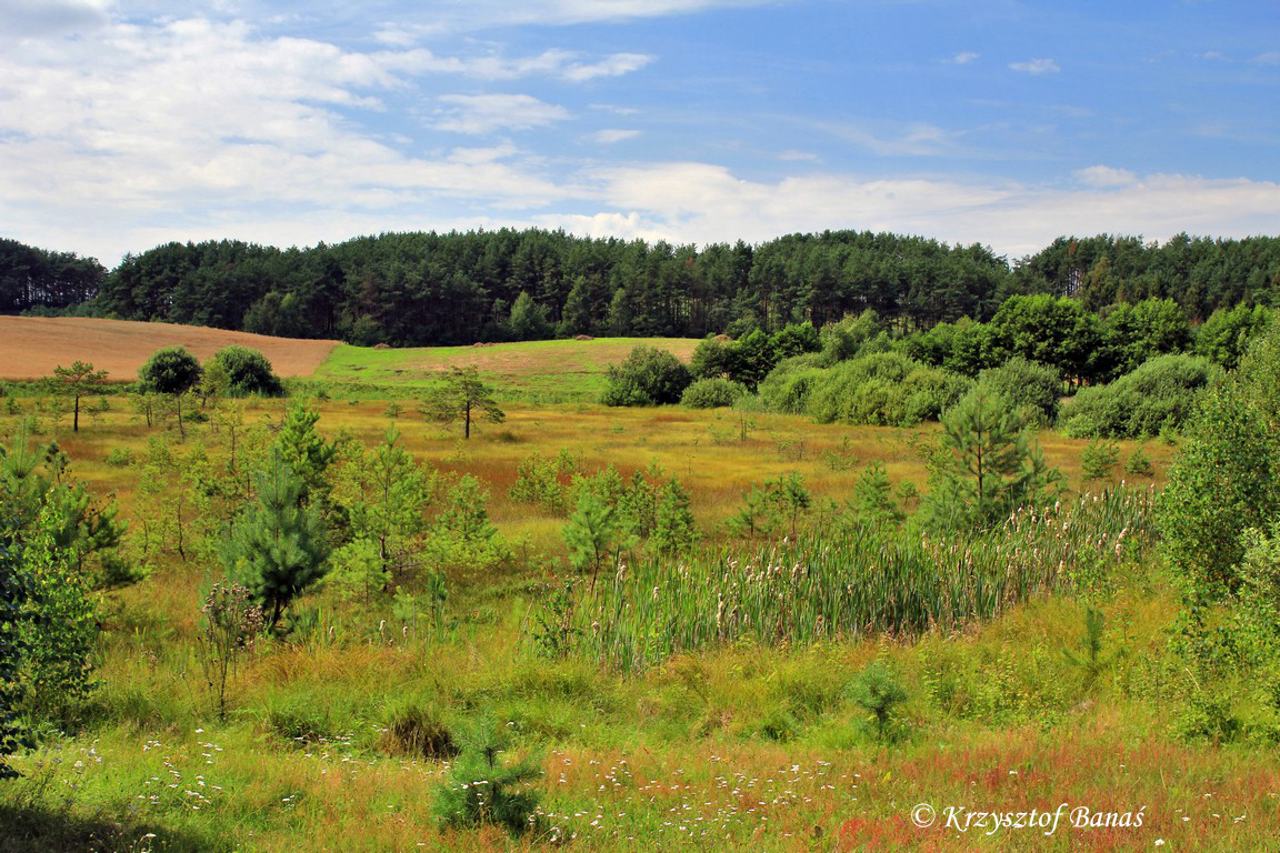 Zurominskie_08_08_2016_040.jpg