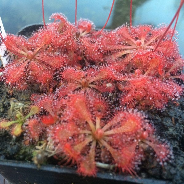 normal_2016-08-04_19_41_56.jpg