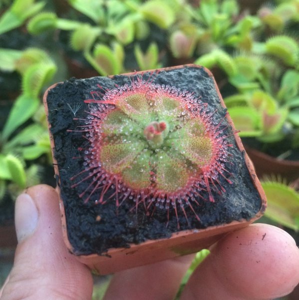normal_2016-08-04_19_43_23.jpg
