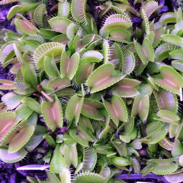 normal_2016-12-12_23_52_19.jpg