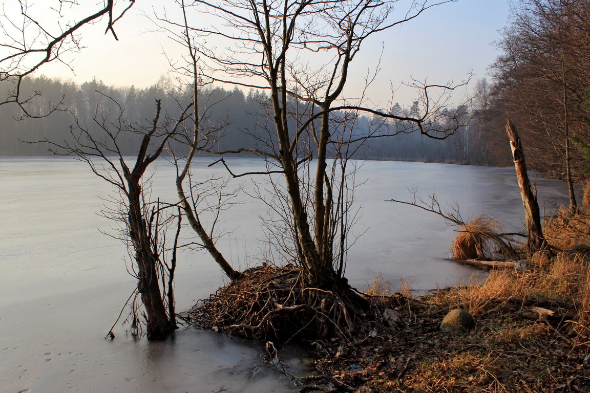 Palsznik_14_02_2015_117.jpg