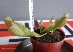 thumb_20150818_185417.jpg
