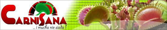 carnisana_orginal.jpg