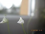 04301803161460e0m.jpg