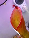 0ef1127715f45f28m.jpg
