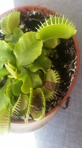 20170430_180344.jpg