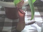 2a2d709cb07744dbm.jpg