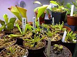 3c113b701926d3edm.jpg