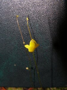 a4d04f084ef60440med.jpg