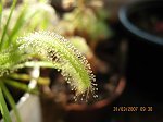 b332518f63d18b1am.jpg