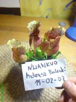 post-2367-1203090253_thumb.jpg