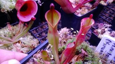 WP_20140329_002.jpg