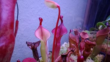 WP_20140329_001.jpg