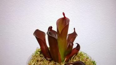 WP_20140327_003.jpg