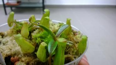 WP_20140328_001.jpg