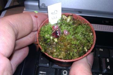 IMAG0410.jpg