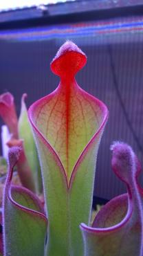 WP_20140514_002.jpg