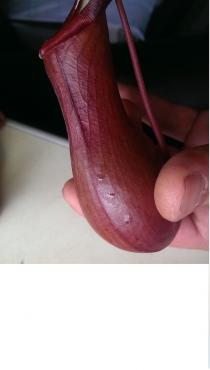 post-7273-1464241598_thumb.jpg