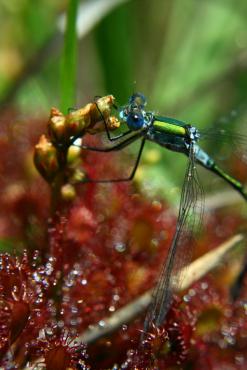 p15.JPG