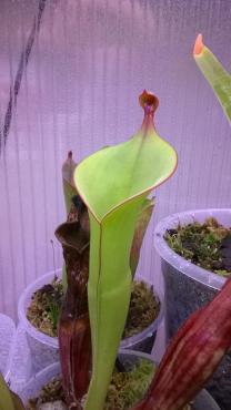WP_20140614_012.jpg