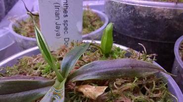 WP_20140614_013.jpg