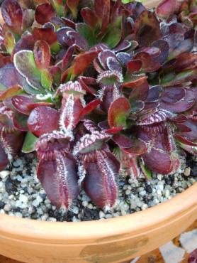 2013_10_04_09.56.20.jpg