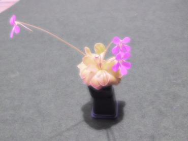 DSCN2438.JPG