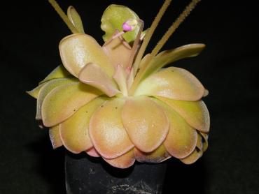 DSCN2453.JPG