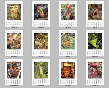 kalendarz_2011.jpg