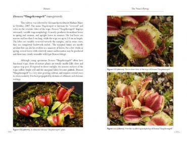 Dionaea_Cultivars__21_.jpg