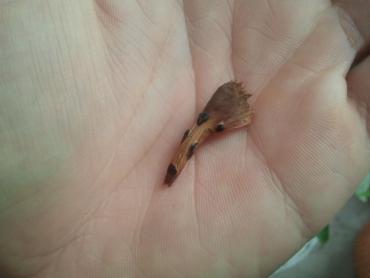 2013_12_25_13.09.22.jpg