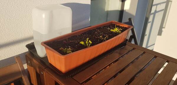 20200528_200337 (1).jpg