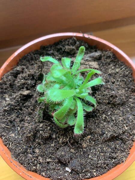 WhatsApp Image 2020-07-10 at 10.50.40.jpeg