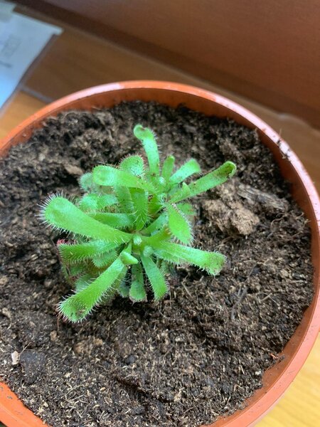 WhatsApp Image 2020-07-10 at 10.50.40(1).jpeg