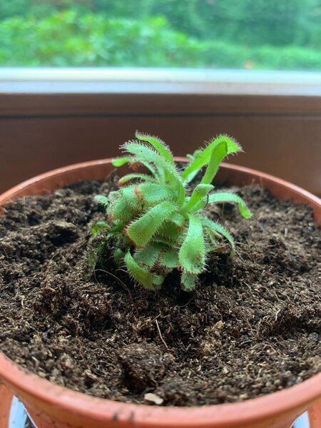 WhatsApp Image 2020-07-10 at 10.50.41.jpeg