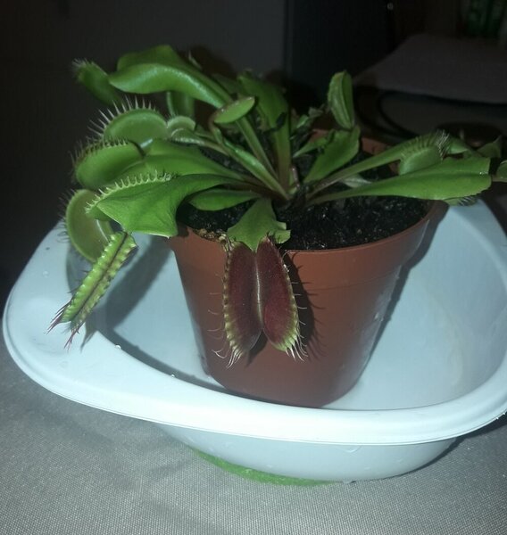 20201005_210638.jpg