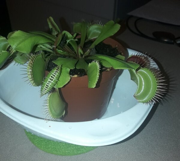 20201005_210651.jpg