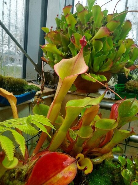 2021.05.07  (11).jpg