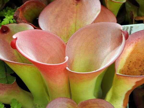 2021.05.06  (54).JPG