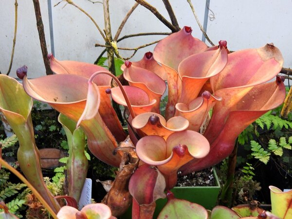 2021.05.06  (44).JPG