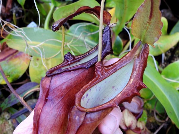 2021.05.06  (77).JPG