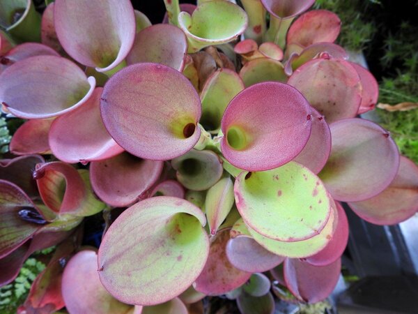 2021.05.06  (58).JPG