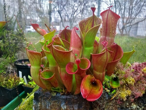 2021.05.07  (14).jpg