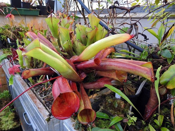 2021.04.20  (153).JPG