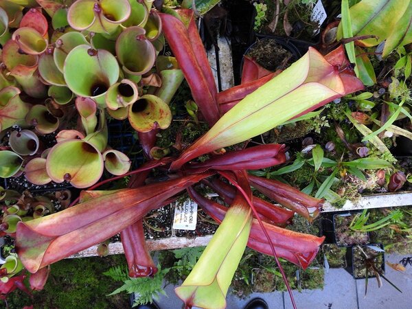 2021.05.06  (49).JPG