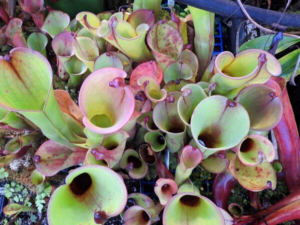 2021.05.06  (47).JPG