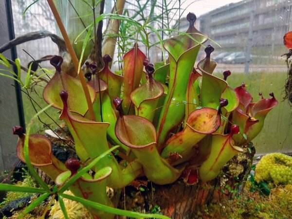 2021.05.07  (16).jpg