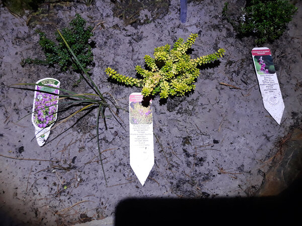 20201219_163213.jpg