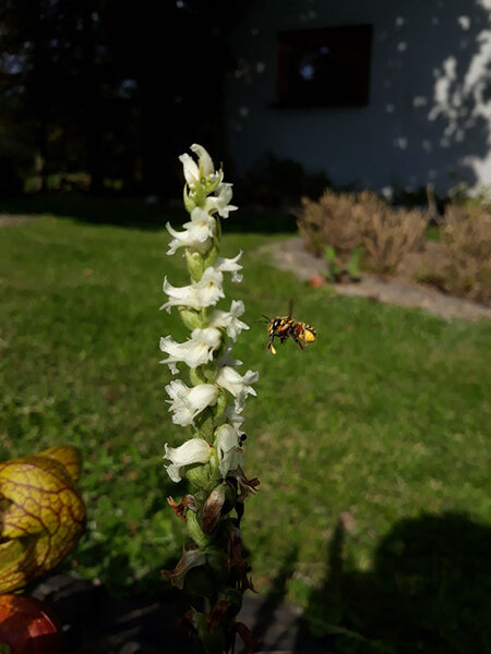 20210912_145949.jpg